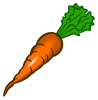 carrot